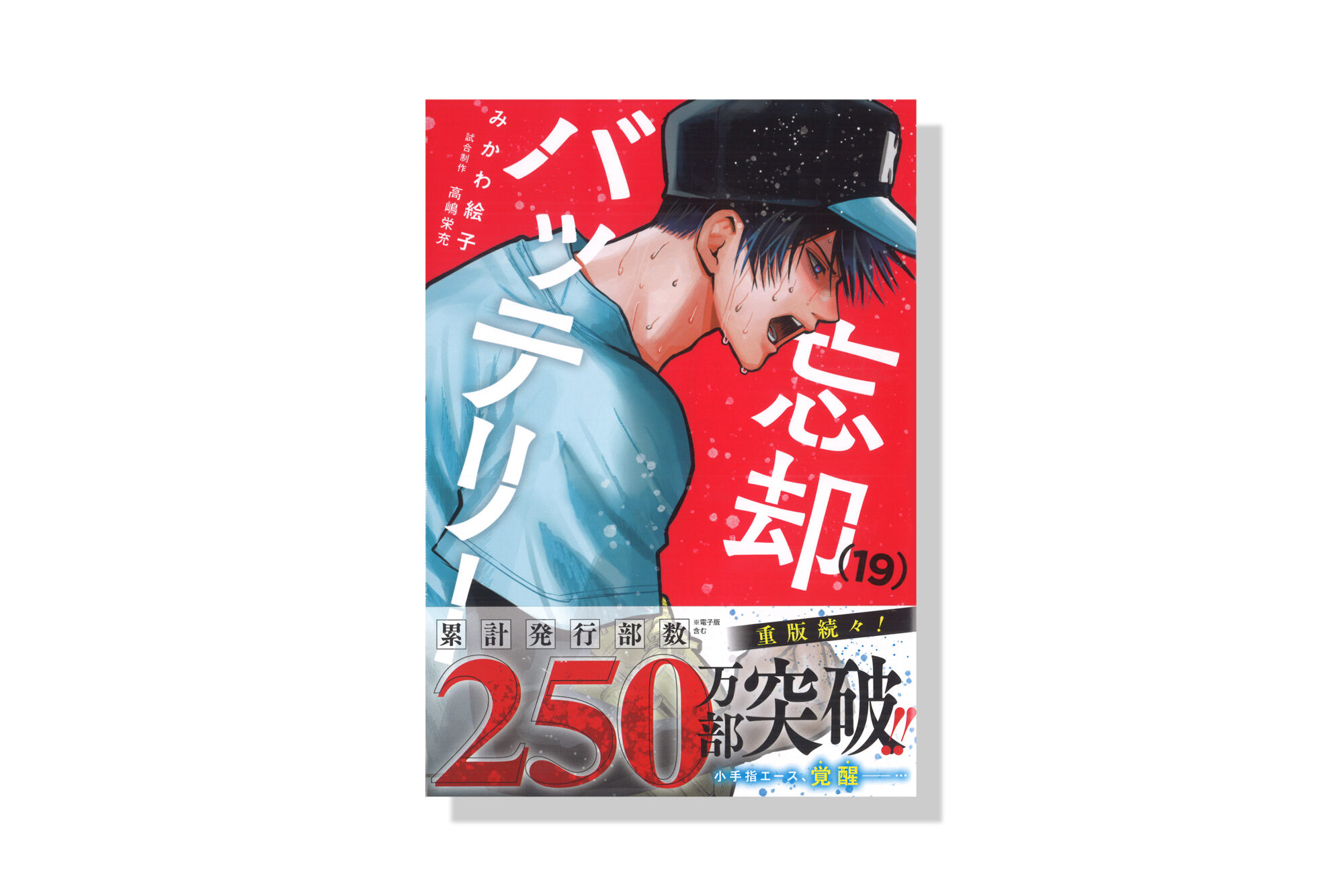 忘却バッテリー 19巻 | バナナグローブスタジオ